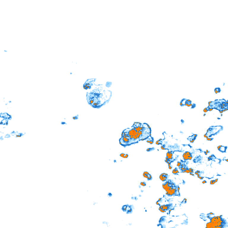 rain layer