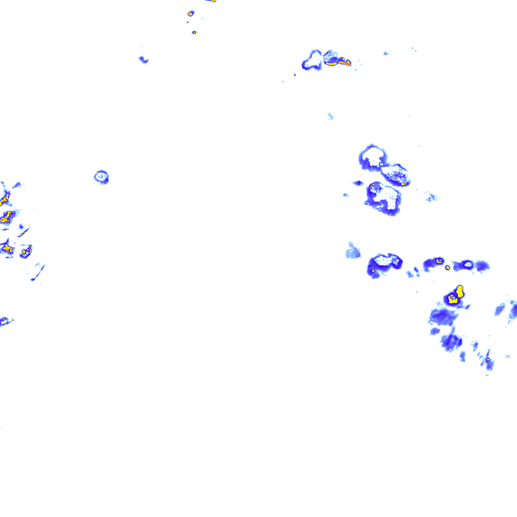 rainLayer