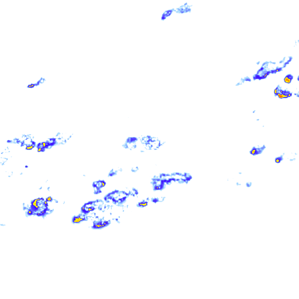 rainLayer