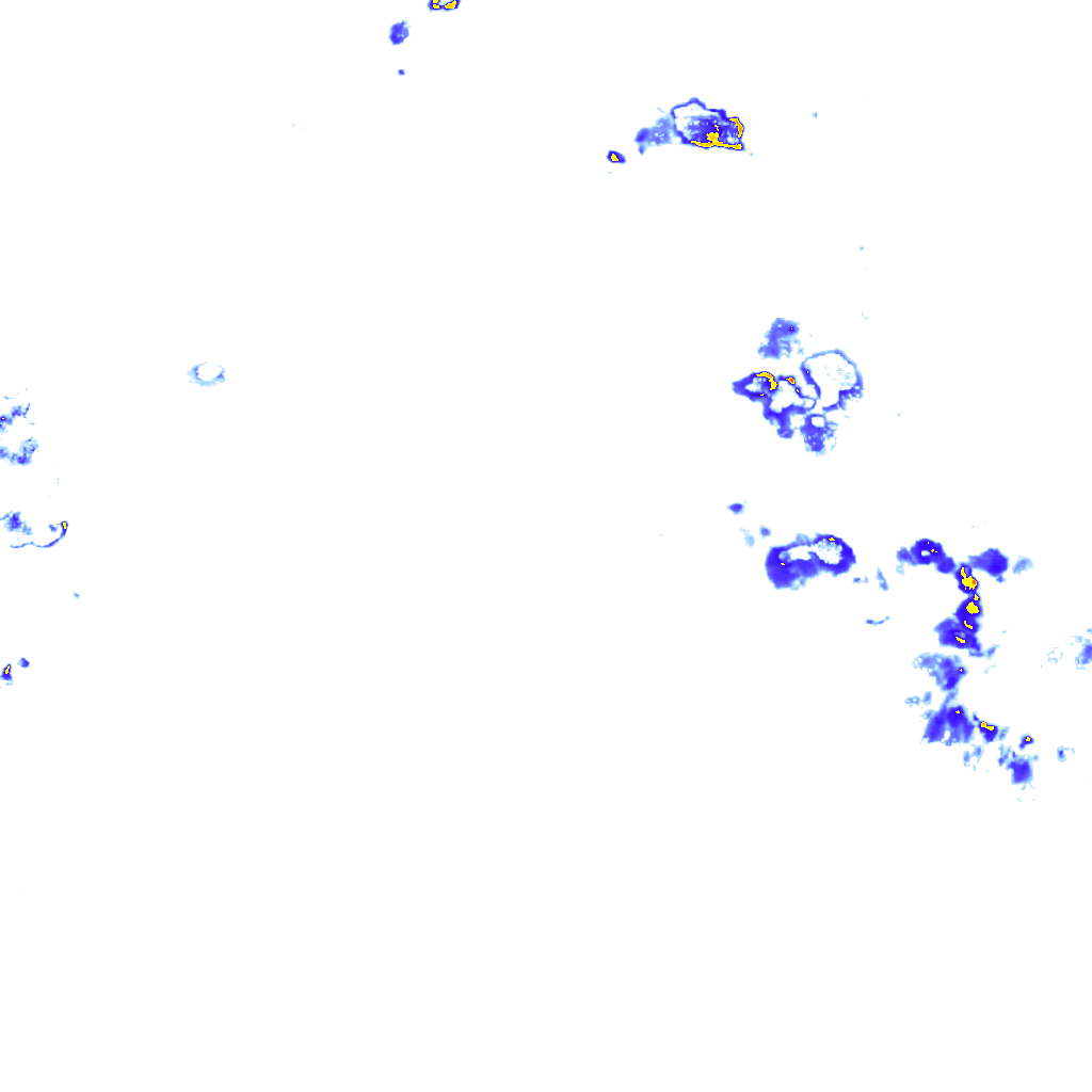 rainLayer