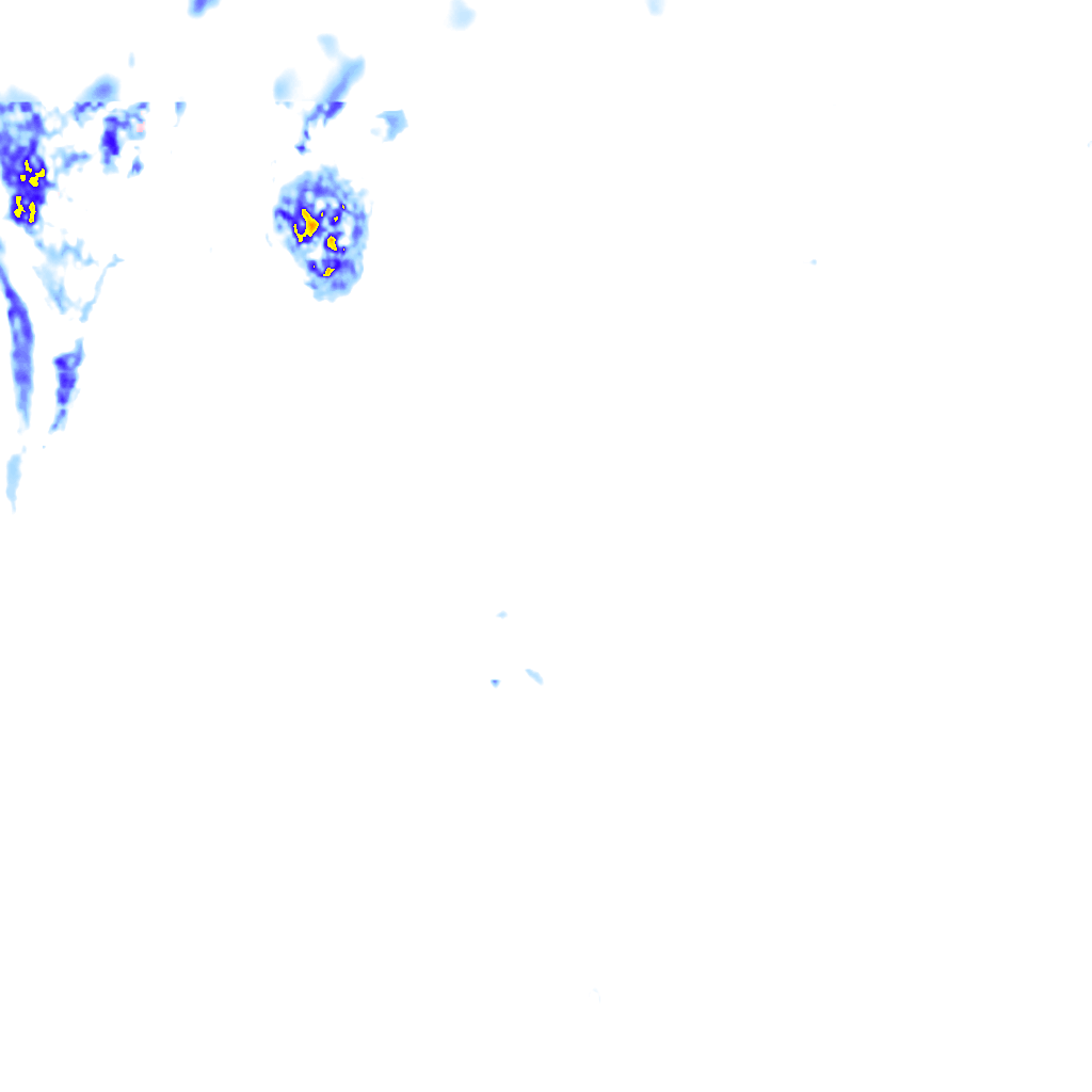 rainLayer