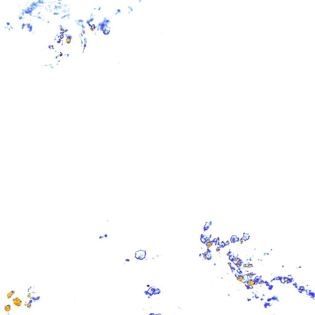rainLayer