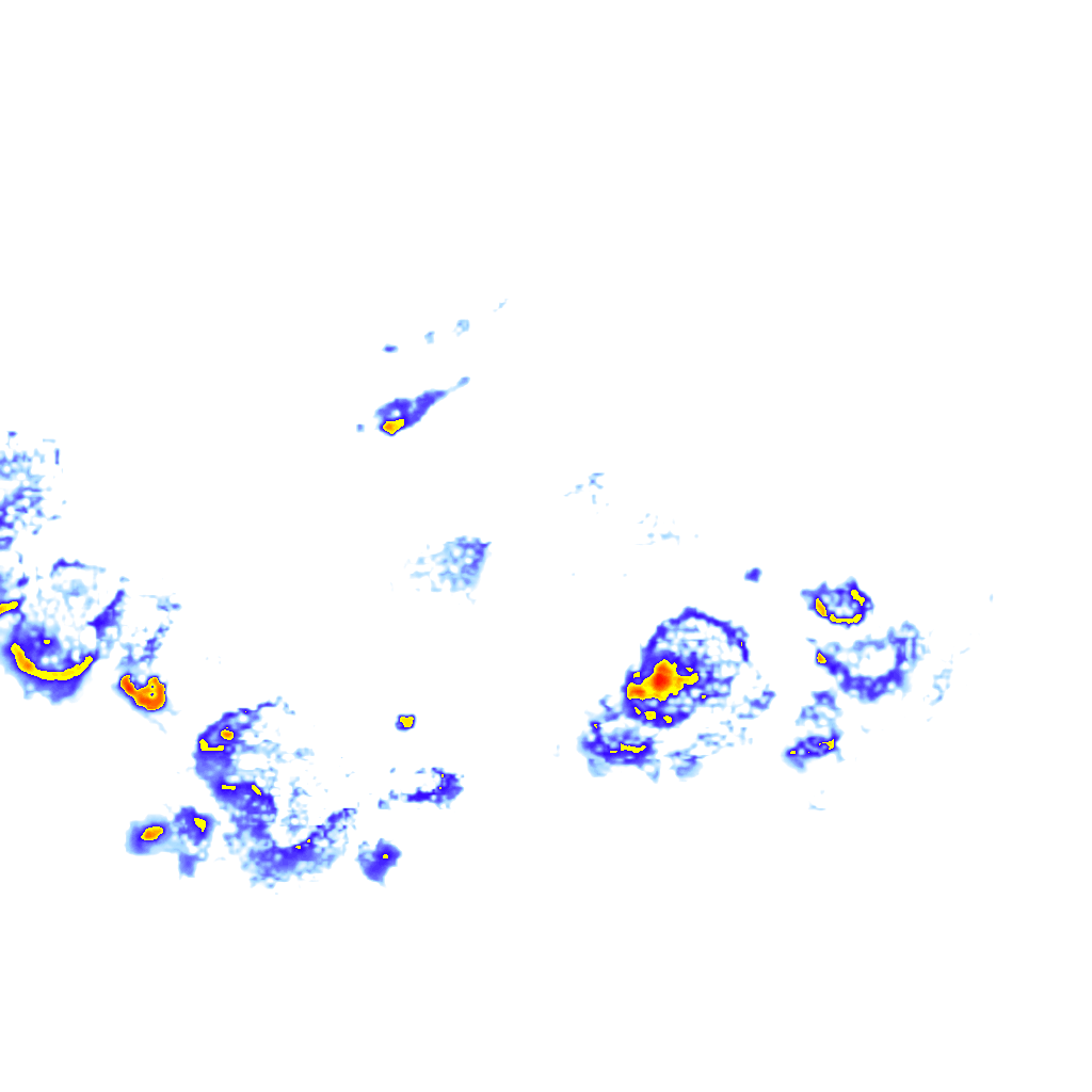rainLayer