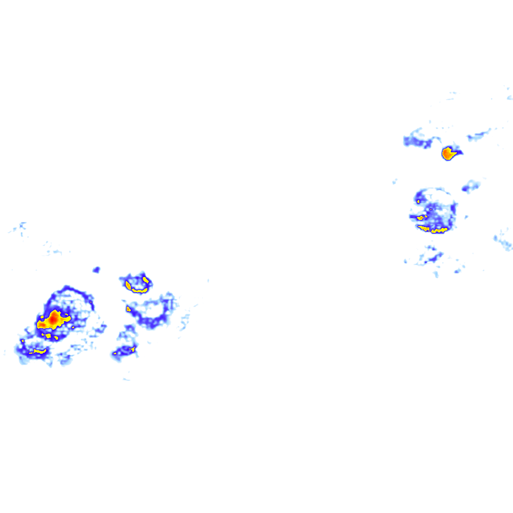 Image Layer