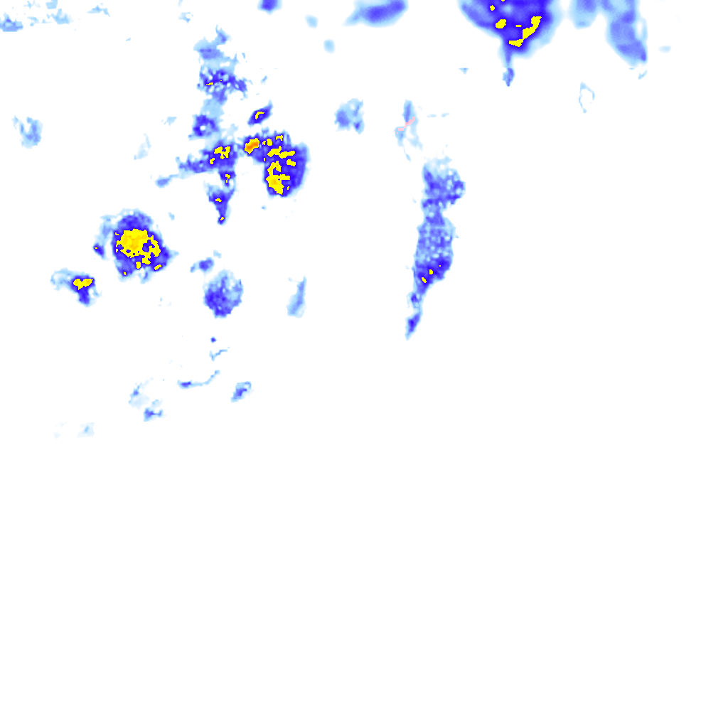 rainLayer