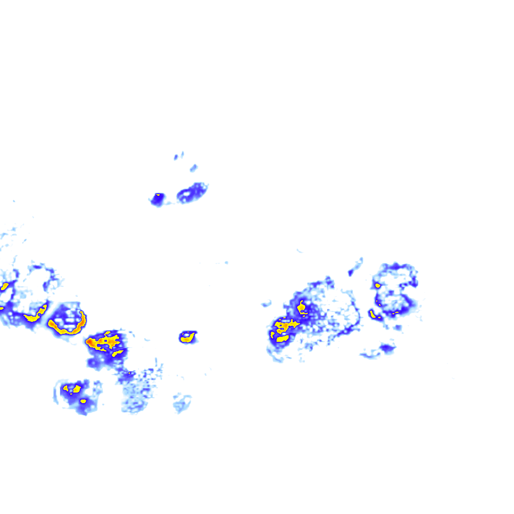 rainLayer