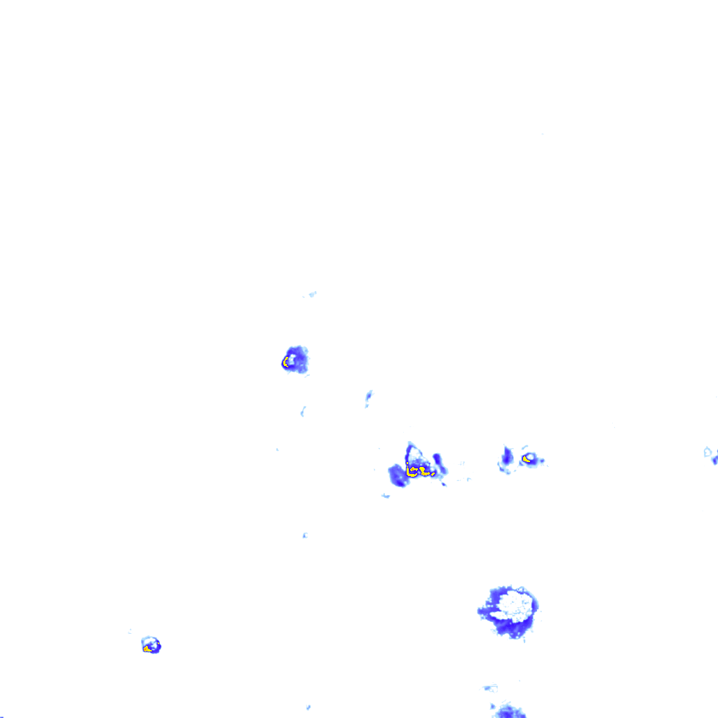 rainLayer