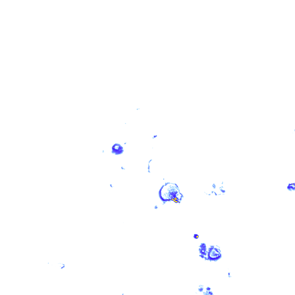Image Layer