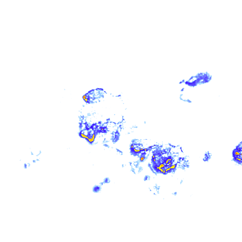 Image Layer