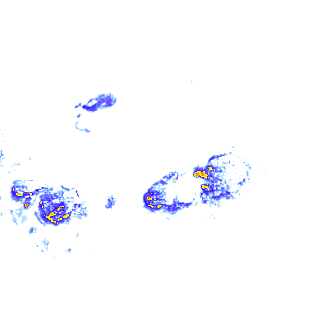 rainLayer