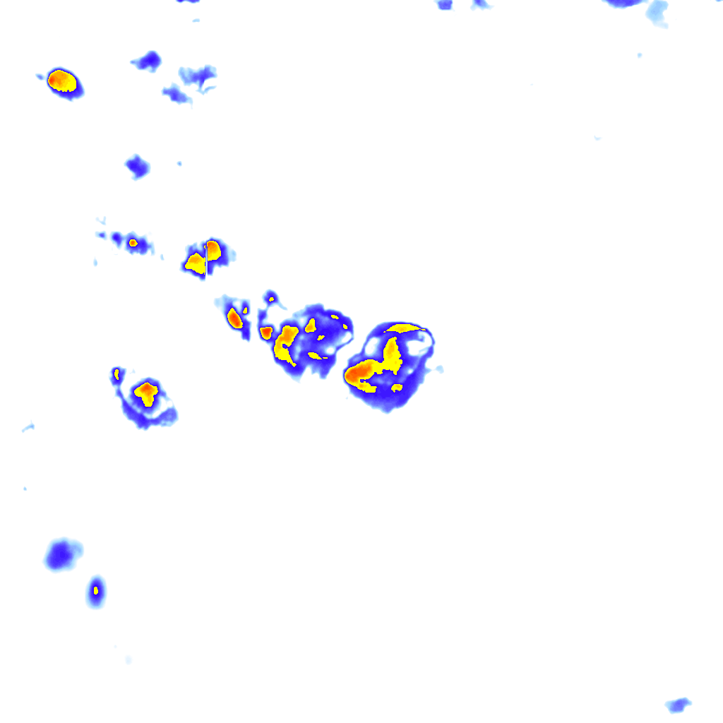Image Layer
