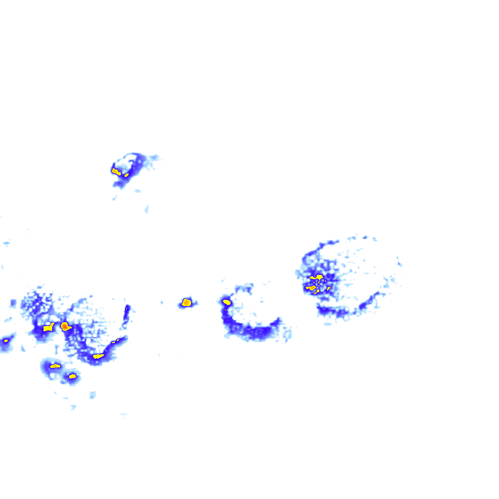 Image Layer