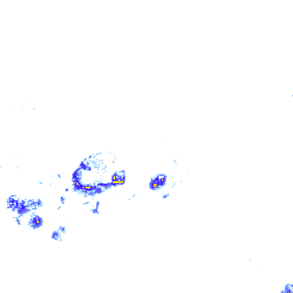 Image Layer