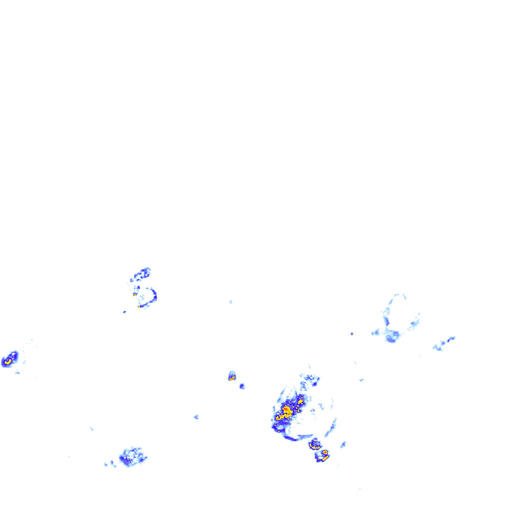 rainLayer