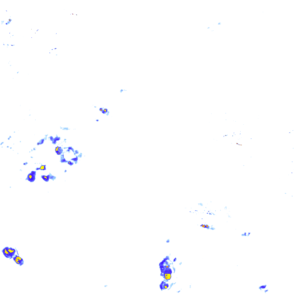 rainLayer