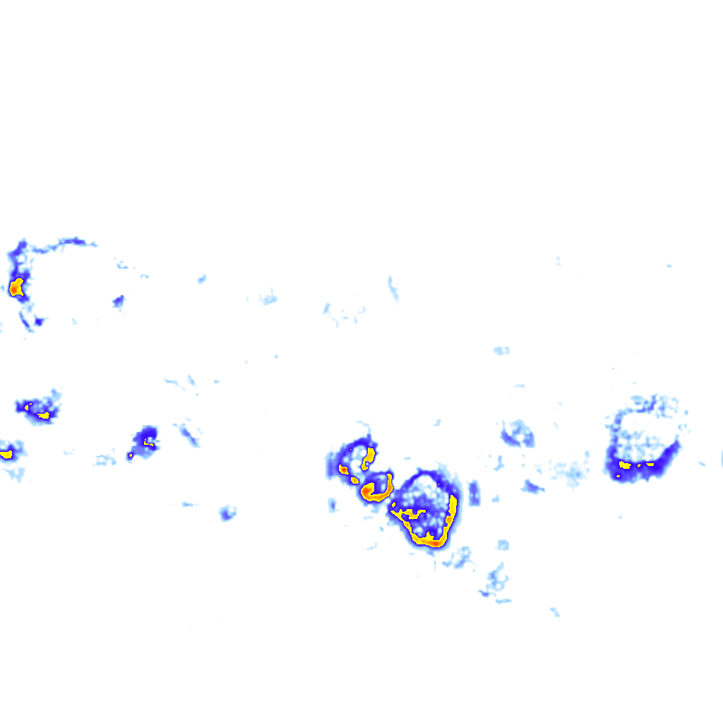 Image Layer