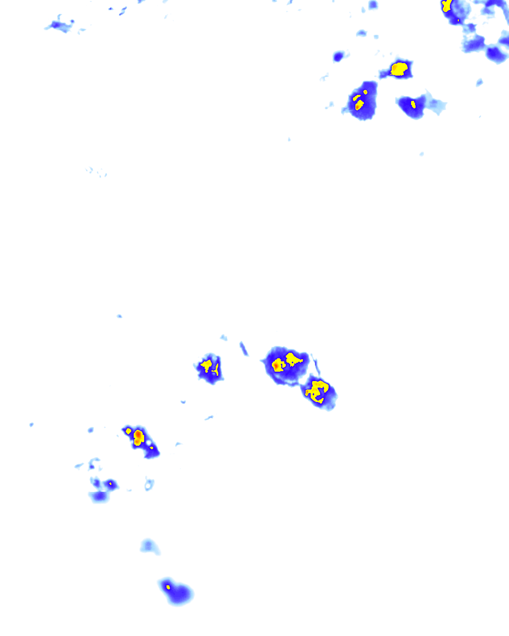 rainLayer