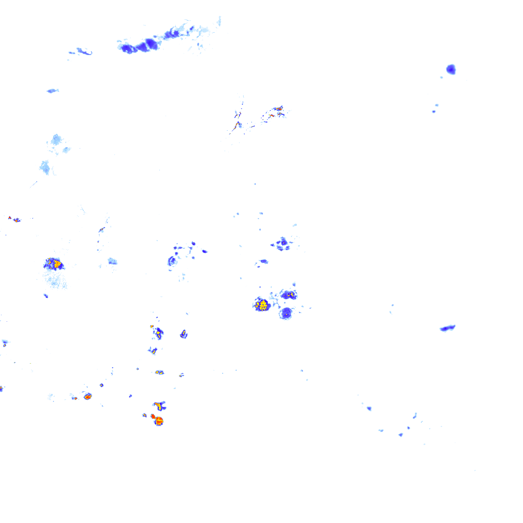 rainLayer