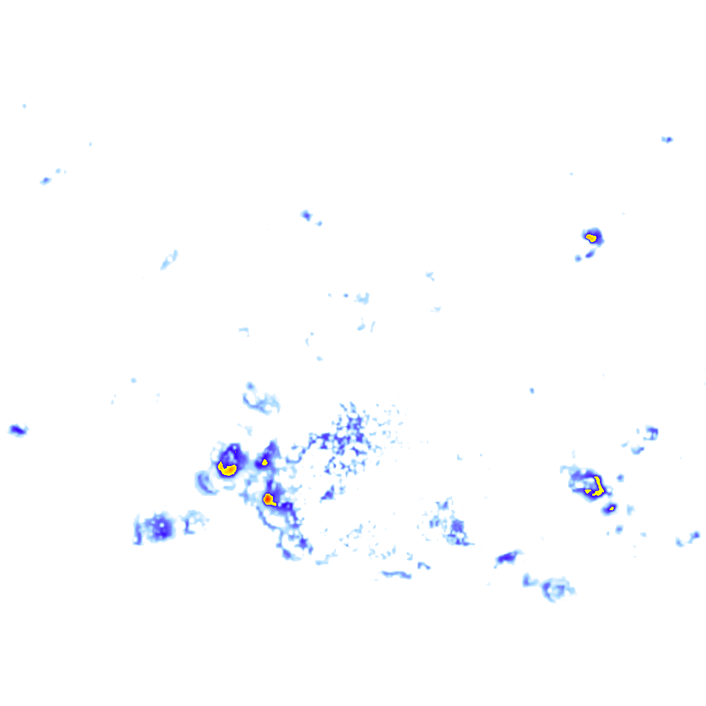 Image Layer