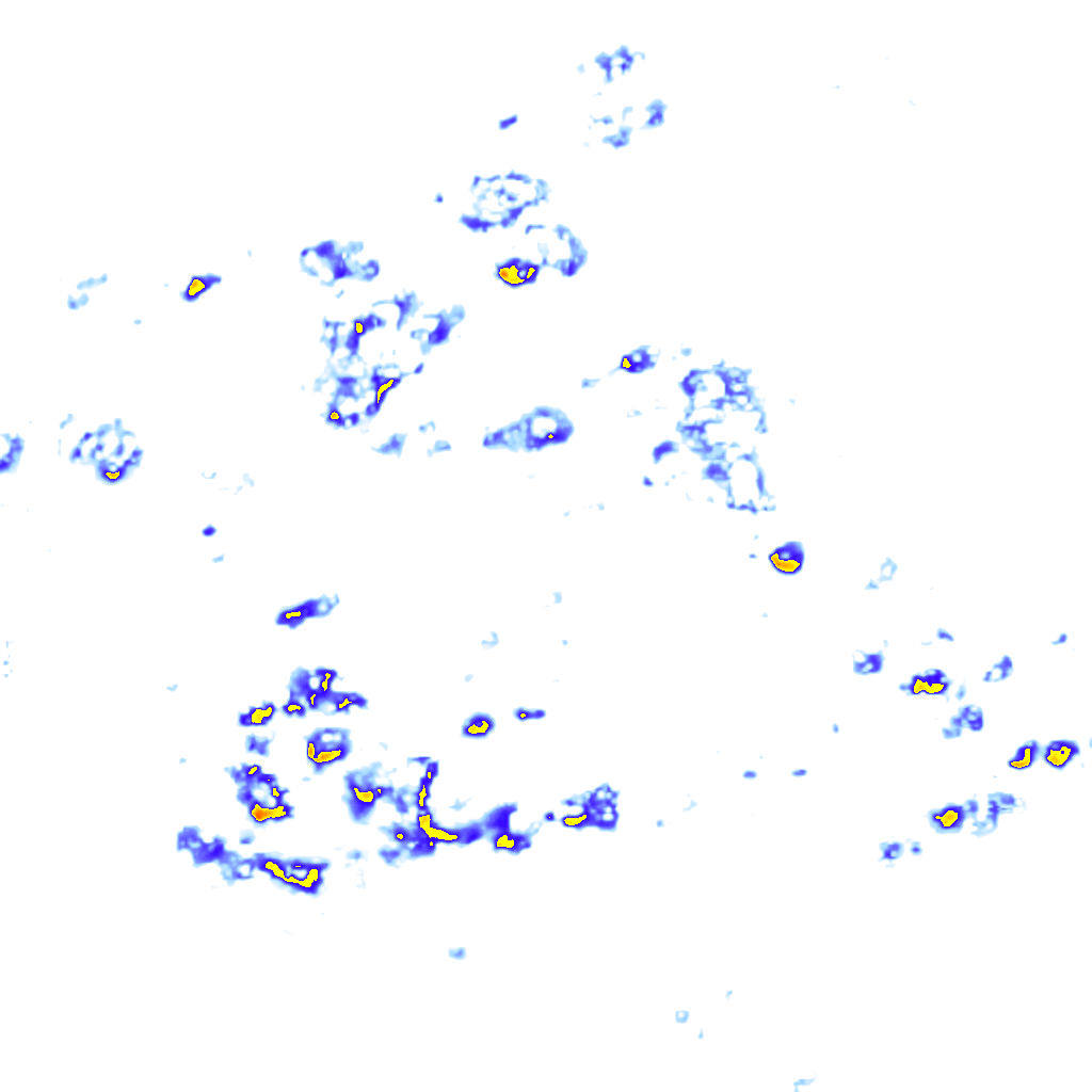 Image Layer