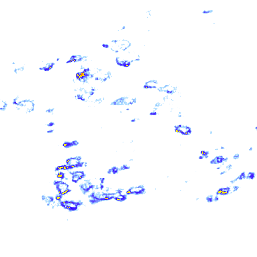 rainLayer