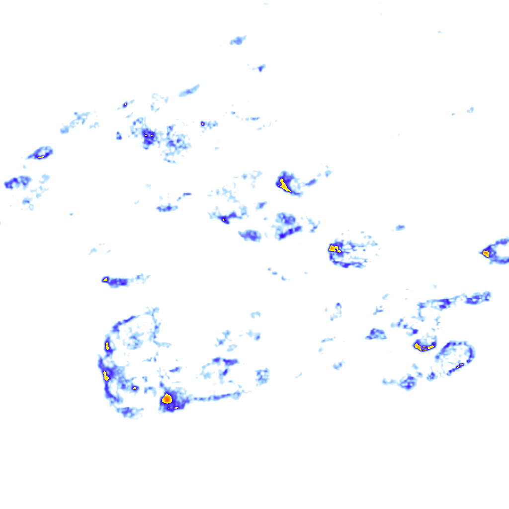 rainLayer