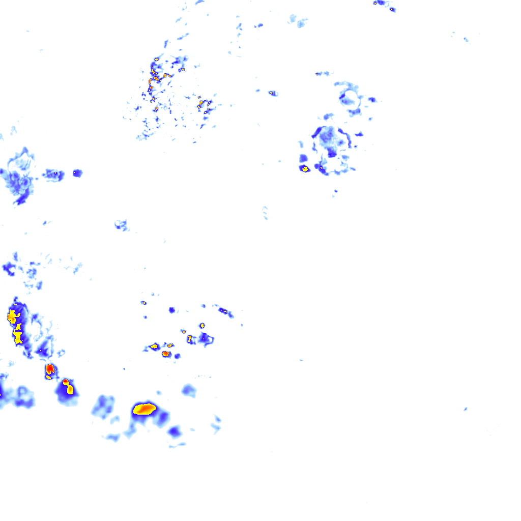 rainLayer