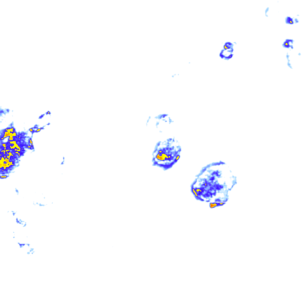 rainLayer