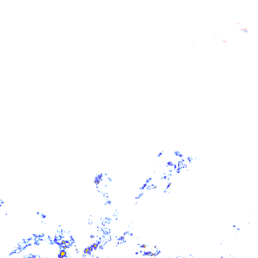 rainLayer
