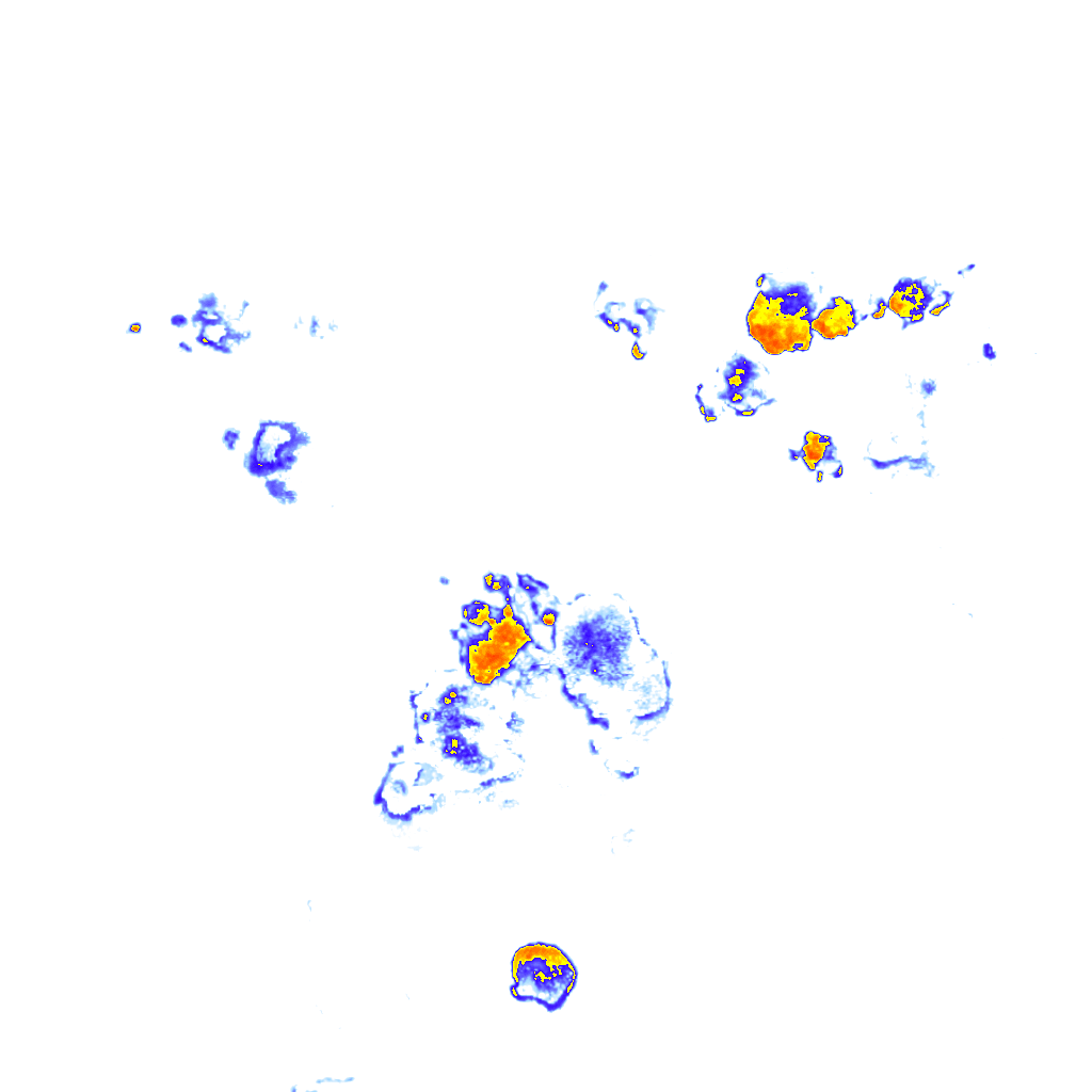 Image Layer