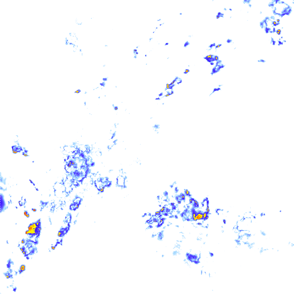 rainLayer