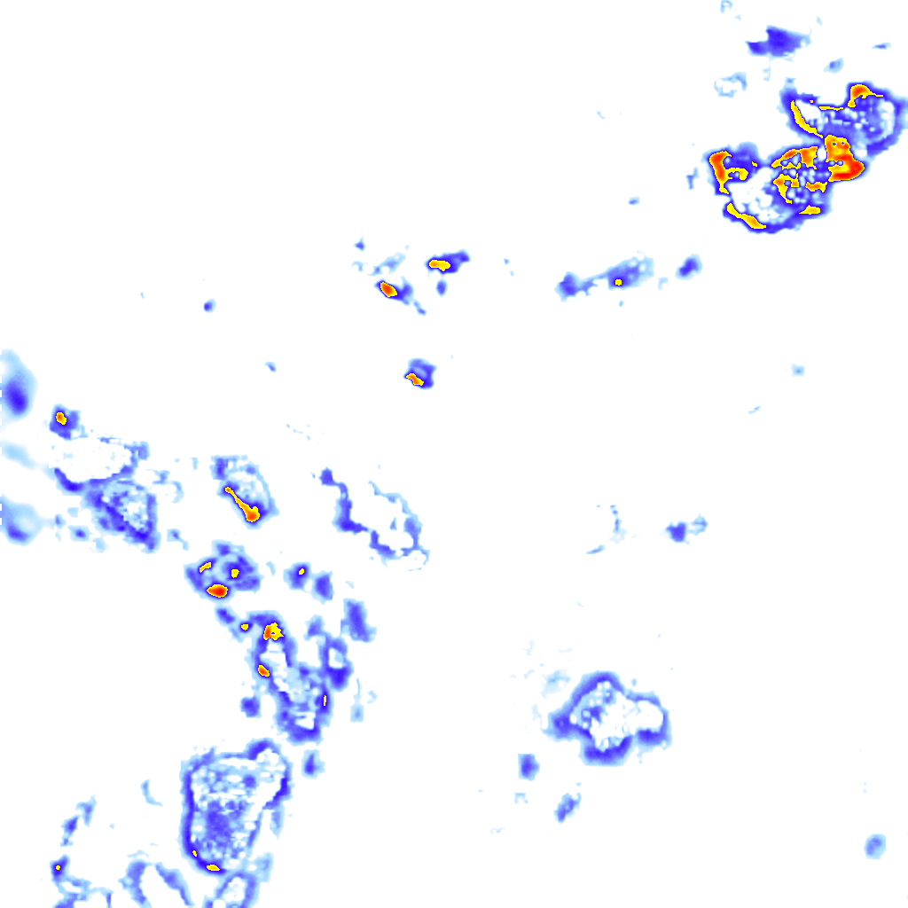 rainLayer