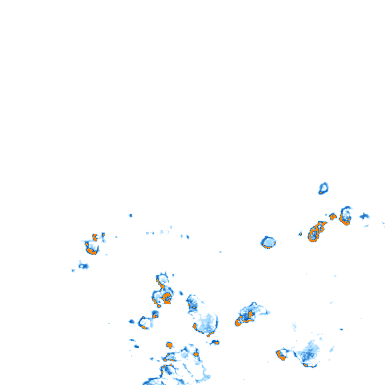 rain layer