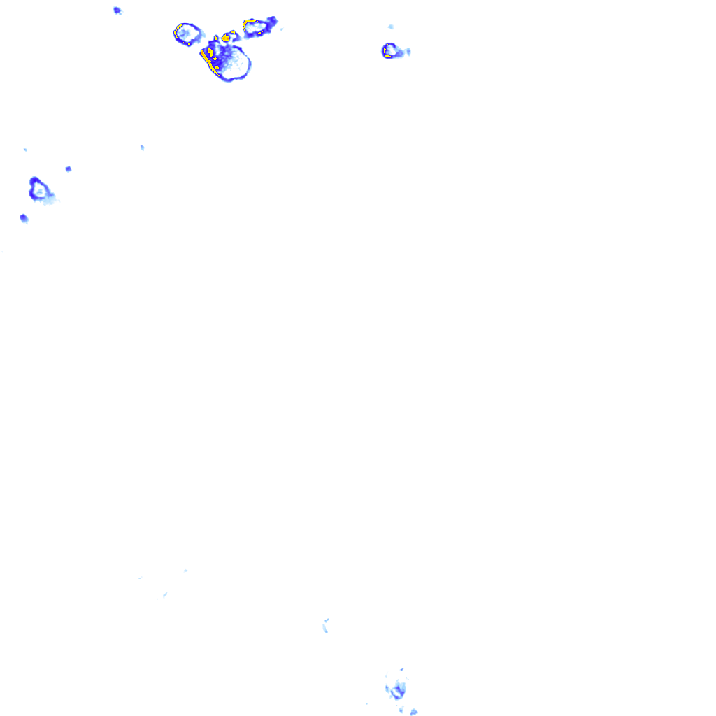 rainLayer