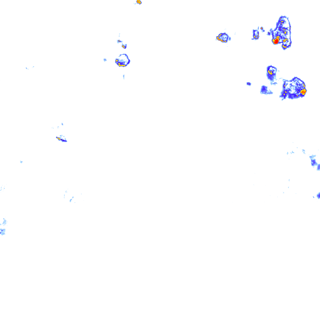 rainLayer
