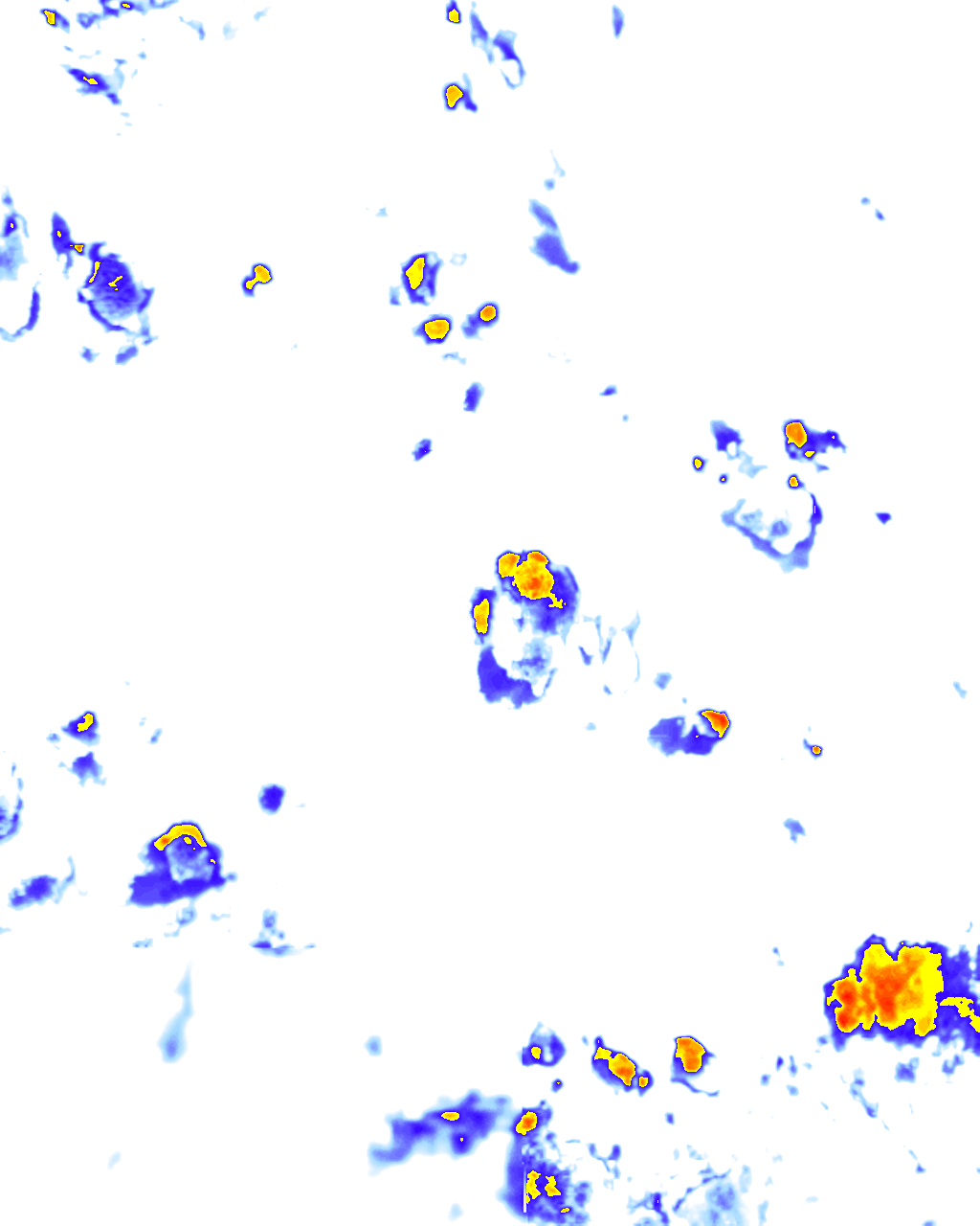 rainLayer