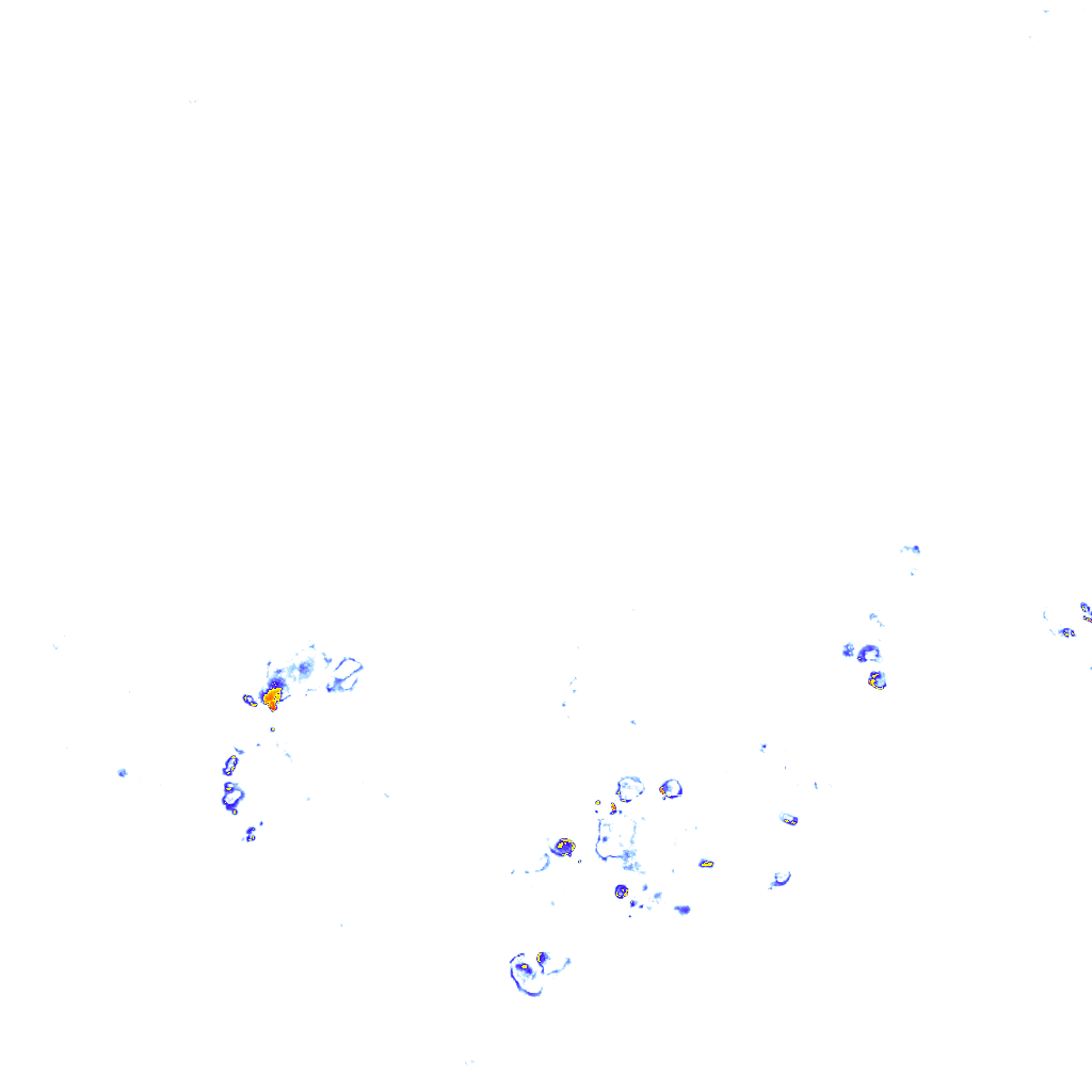 rainLayer