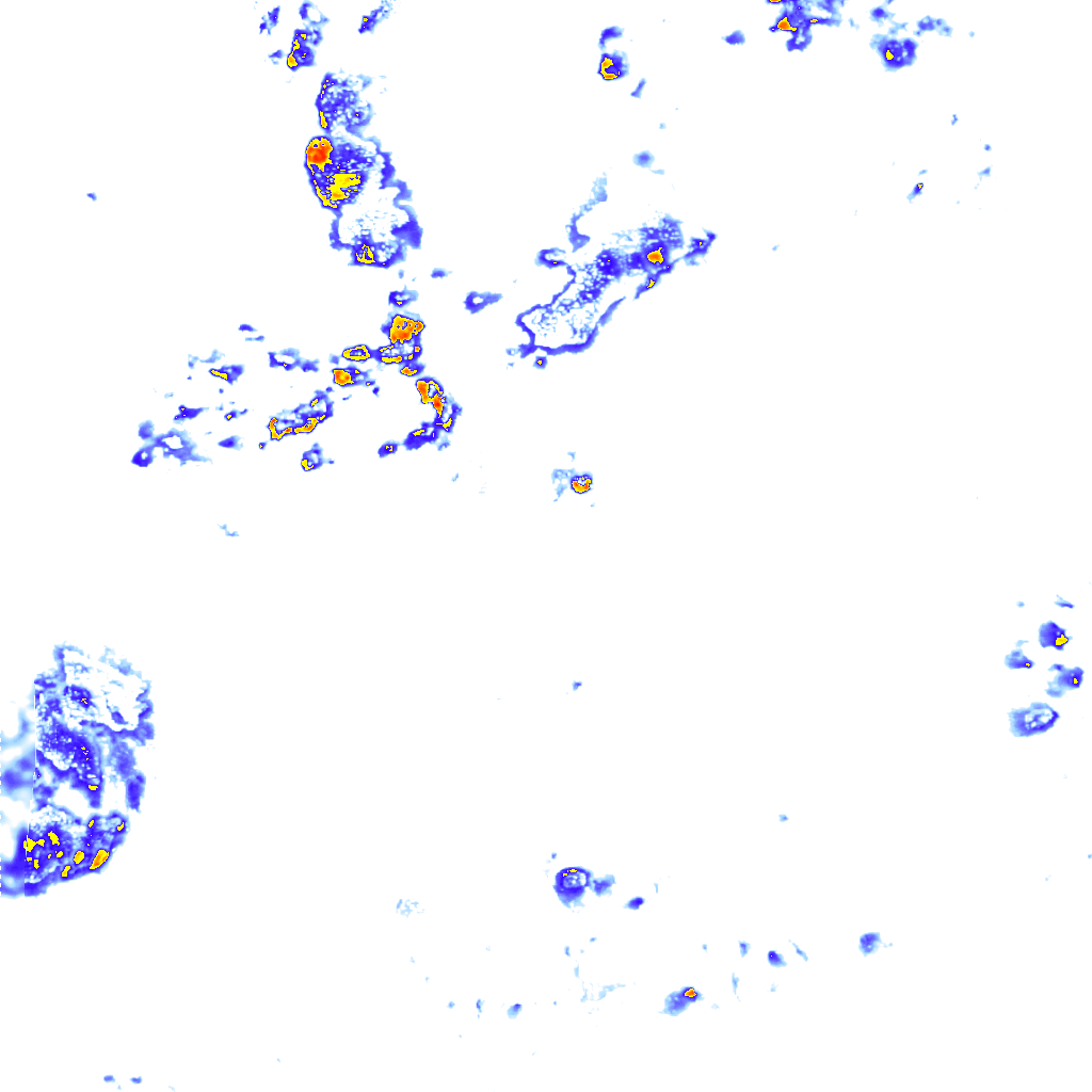 rainLayer