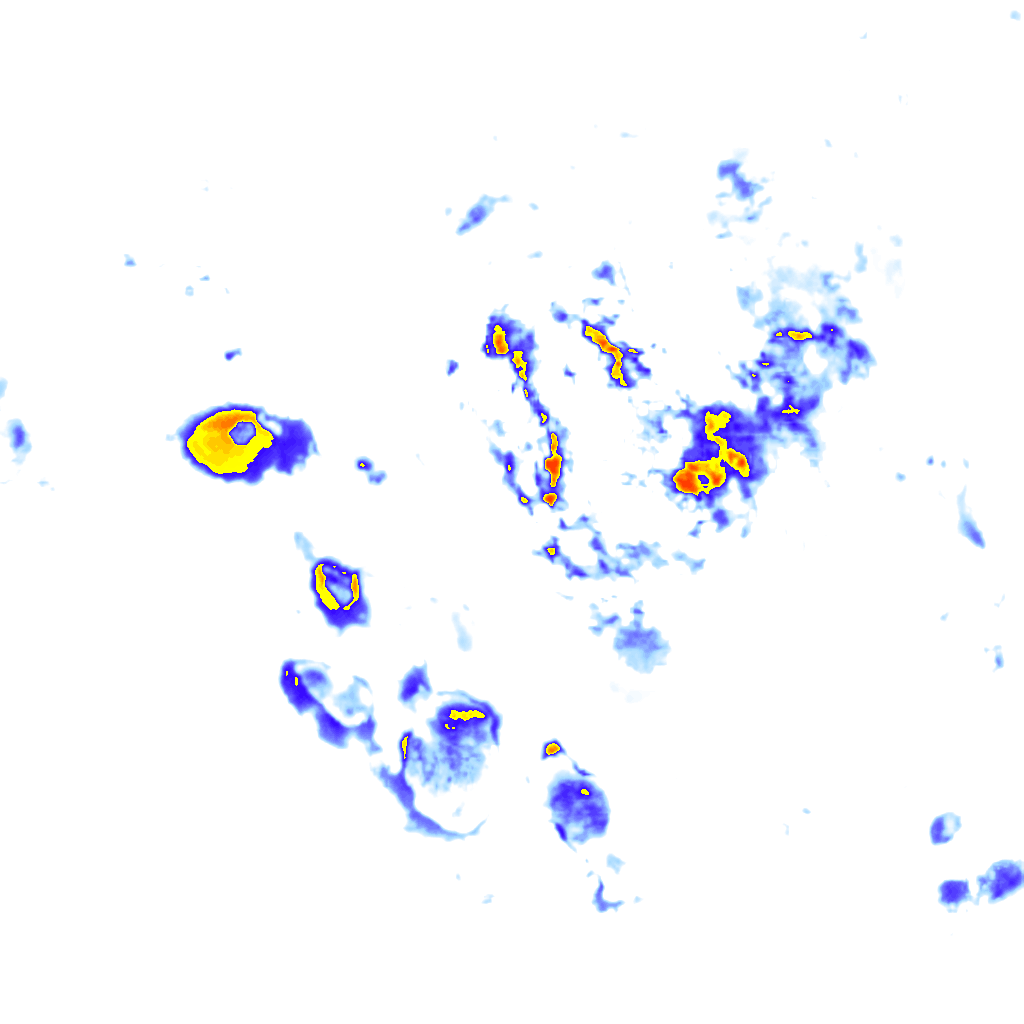 rainLayer