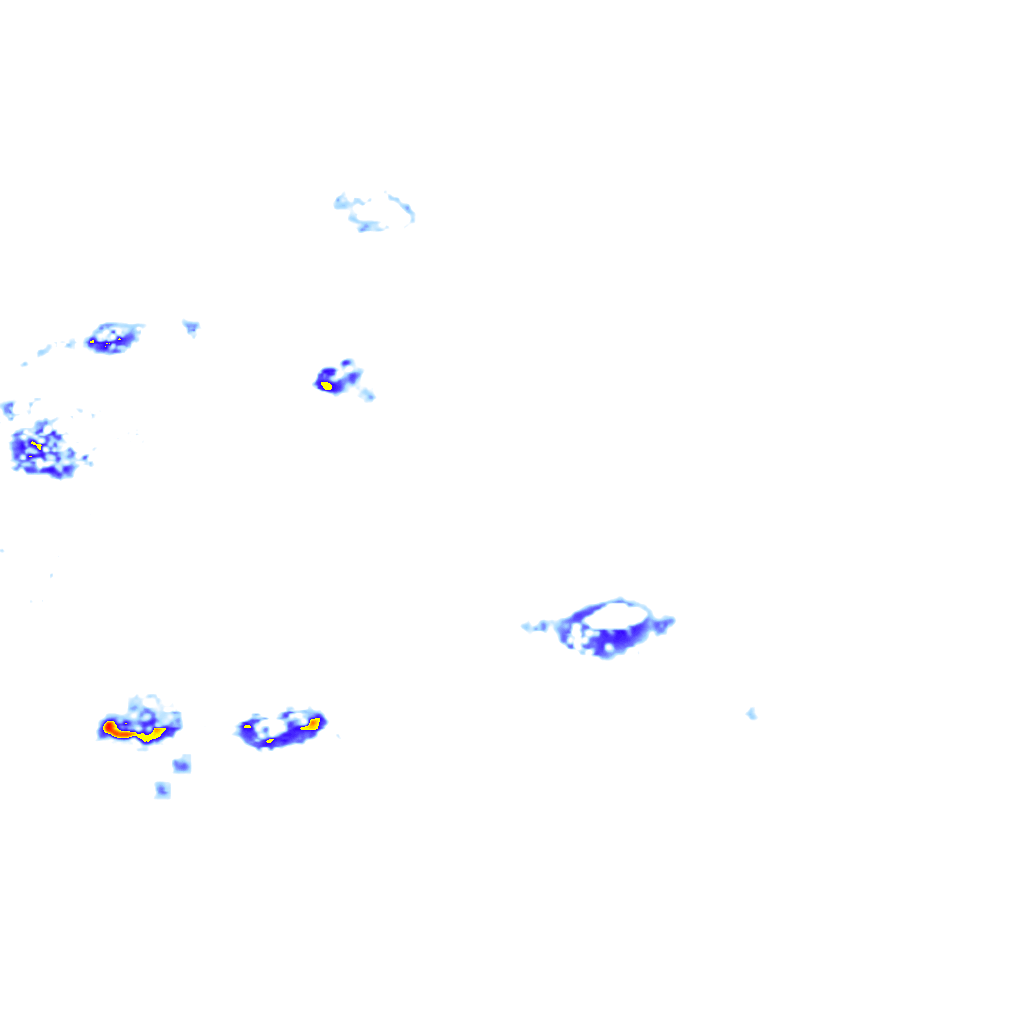 rainLayer