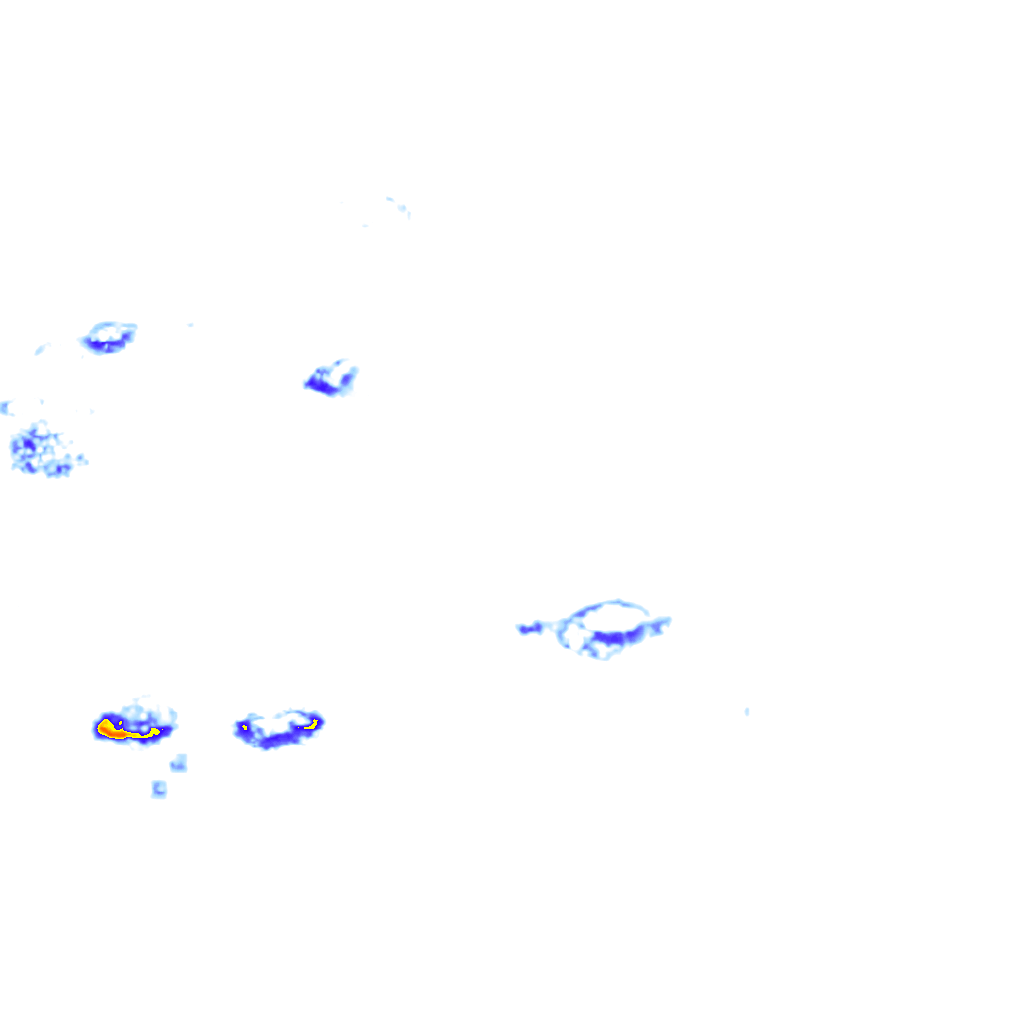 rainLayer