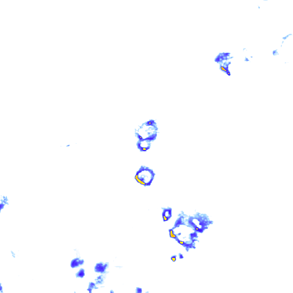 Image Layer