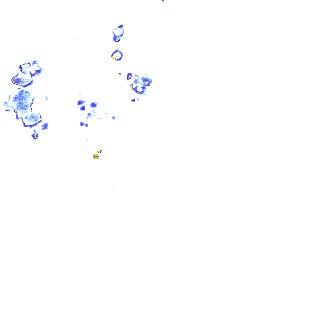 rainLayer