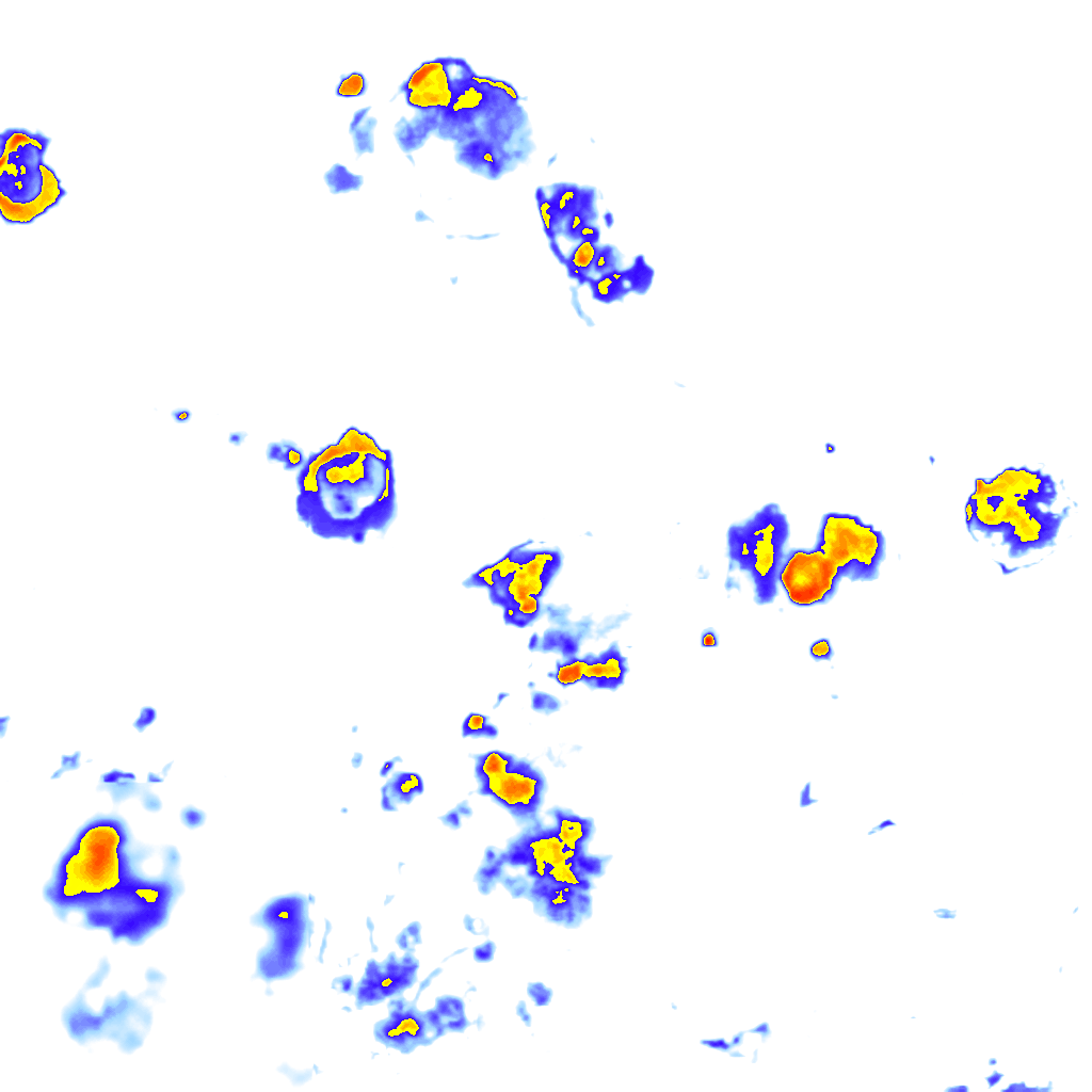 rainLayer