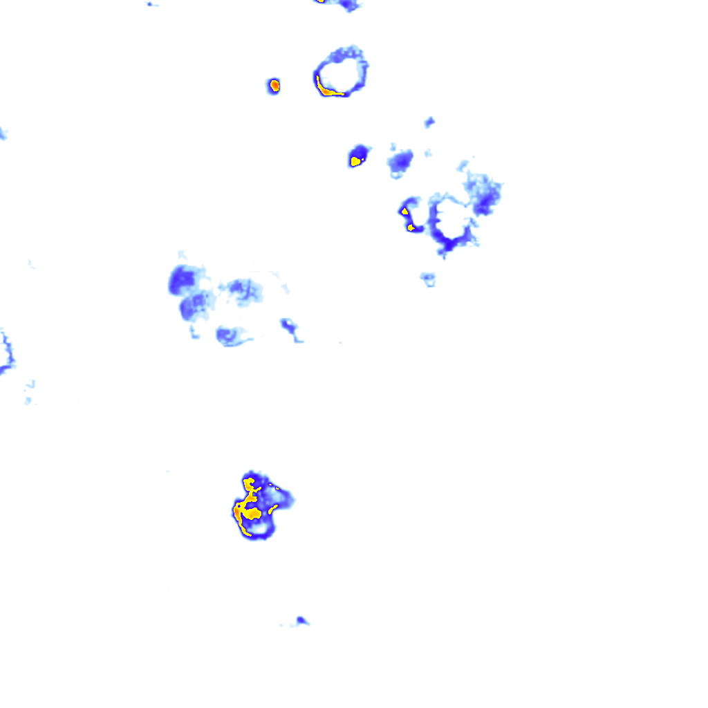 rainLayer