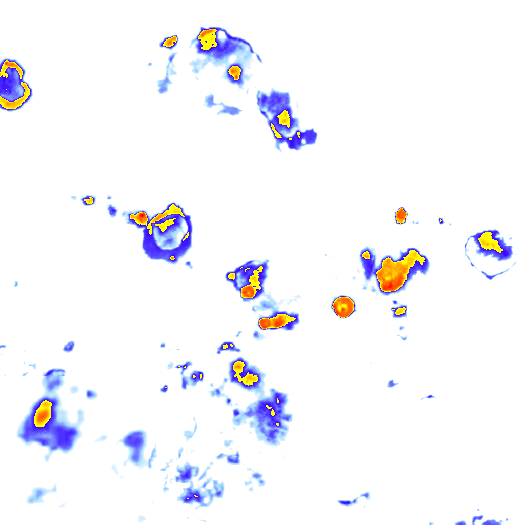 Image Layer