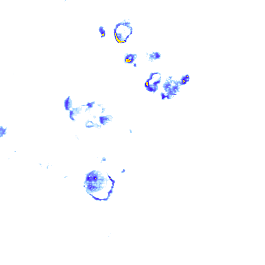 rainLayer