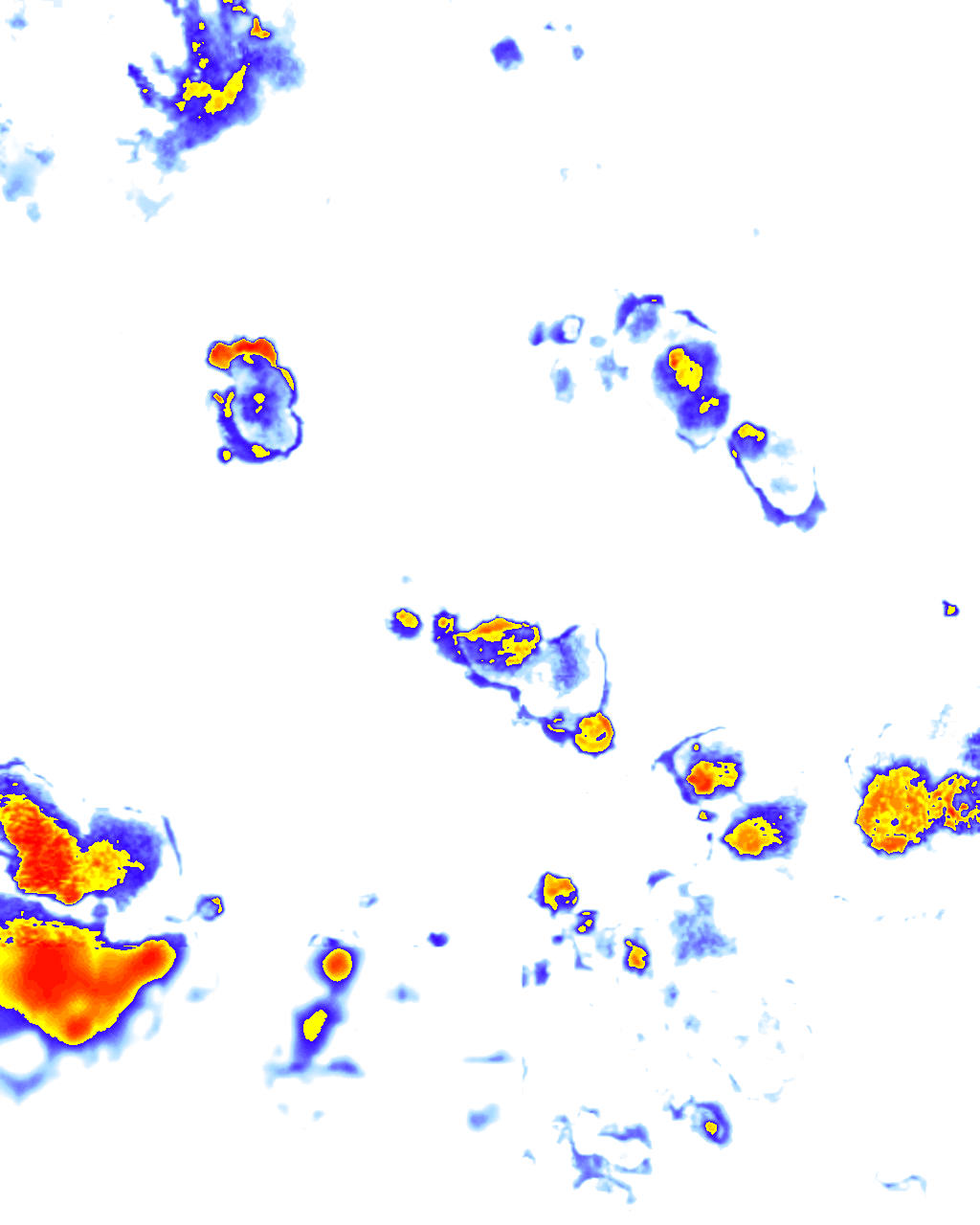 rainLayer