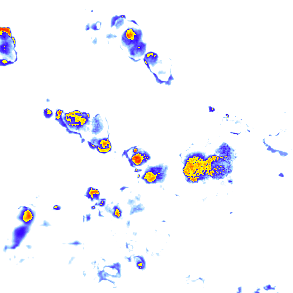 Image Layer