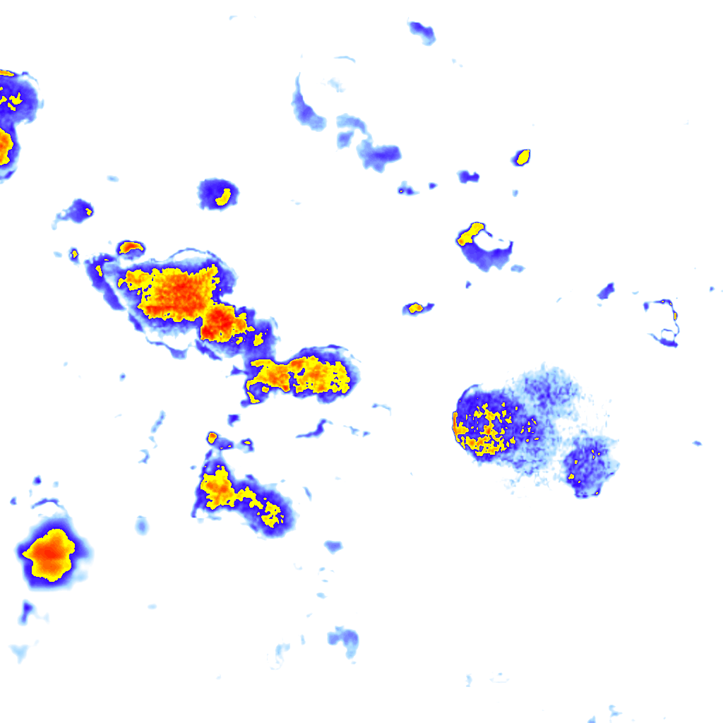 rainLayer